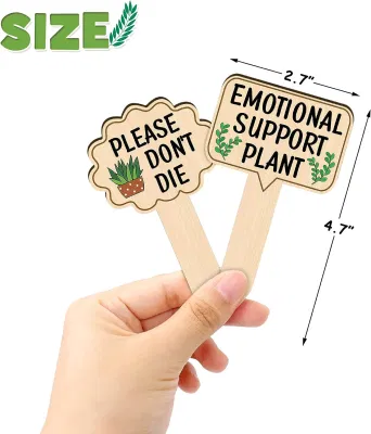 Decorazioni personalizzate per giardino Yard segno Funny legno Plant Marker per Fiori succulenti piante verdi Tag