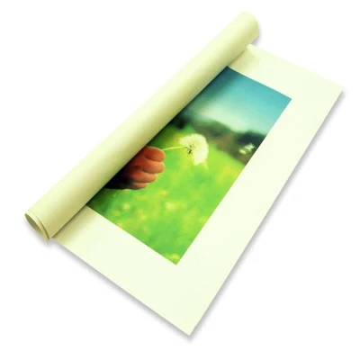 Stampe in rotolo di tela lucida in cotone a getto d&prime;inchiostro 230 g.