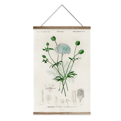 Pittura Botanica Banner Banner in tela di canvas Scorrere