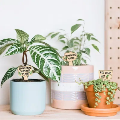 Decorazioni personalizzate per giardino Yard segno Funny legno Plant Marker per Fiori succulenti piante verdi Tag