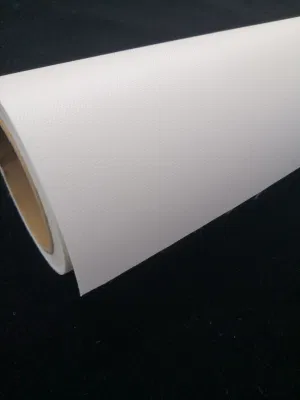 Tela in poliestere lucida a solvente ecologico per tela personalizzata stampata a getto d&prime;inchiostro Stampe