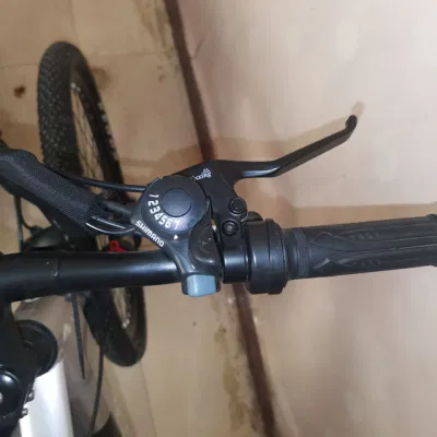 Telaio in acciaio al carbonio per bici elettriche da neve con batteria rimovibile