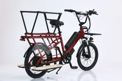 Telaio in acciaio al carbonio per bici elettriche da neve con batteria rimovibile