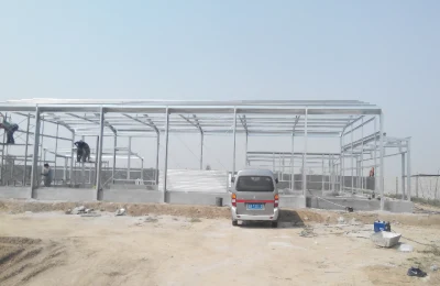 Grande struttura in acciaio leggero Pollo Coop con attrezzatura di alimentazione completa