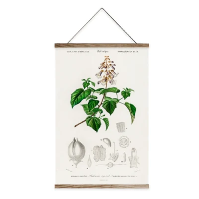 Pittura Botanica Banner Banner in tela di canvas Scorrere