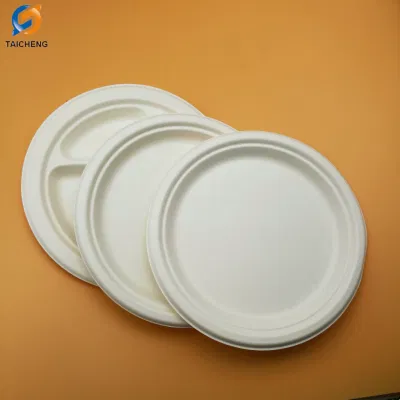 100% di biodegradabile in piastra a basso rispetto per l&prime;ambiente bagasse di canna da zucchero