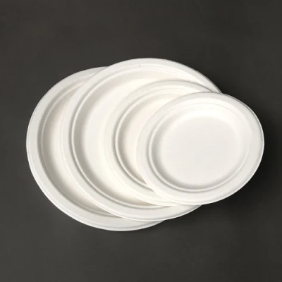 100% di biodegradabile in piastra a basso rispetto per l&prime;ambiente bagasse di canna da zucchero