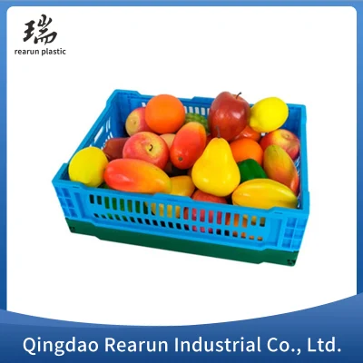 Grande cestello pieghevole telaio di stoccaggio cavo in plastica per uso domestico giornaliero USA cestino di frutta da tavolo