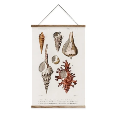  Vintage Wood Frame Shell Wall Art Hanging rotolo di tela stampata Per arredi da soggiorno