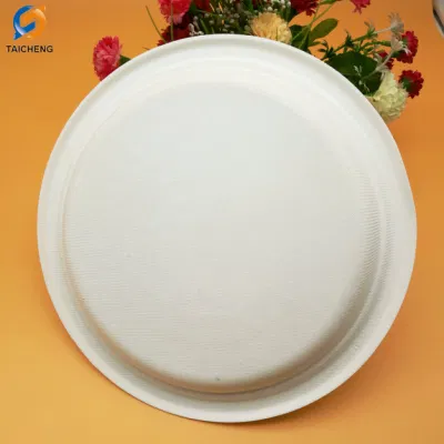 100% di biodegradabile in piastra a basso rispetto per l&prime;ambiente bagasse di canna da zucchero