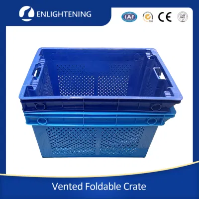 600X400X250mm trasporto personalizzato Noodles piatti in plastica cesto di frutta impilabile annidato Contenitore di frutta maglia di stoccaggio di verdure piatti Noodles