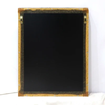 Feather Spell Wing pittura decorativa Art