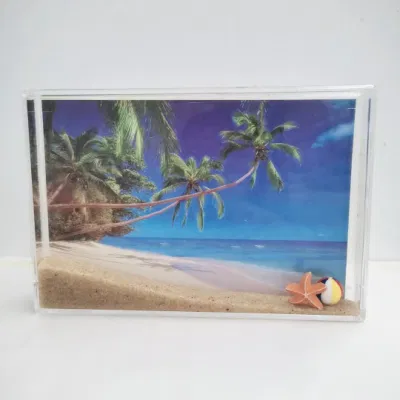 Cornice fotografica a liquido con sabbia e galleggianti