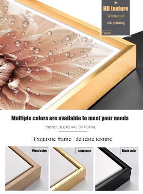 New Art Hanging Wallincorniciato decorazione domestica Modern Wall Art Pittura Tela