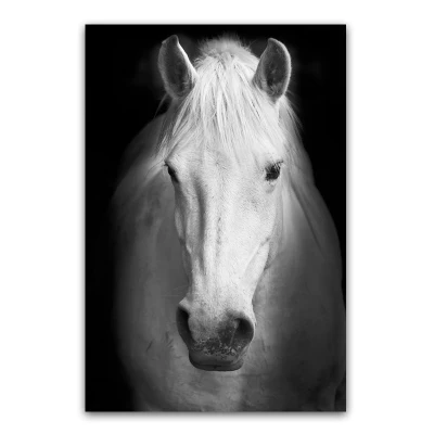 Drop Shipping Lion Canvas Stampa Home decorazione animale Nero e. White Wall Art