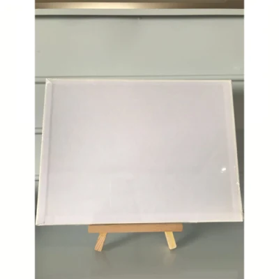 8*10&quot; 10PZ/pz. OEM Hot Selling Good Quality Artist White Pre Pannello tela stampata per dipingere