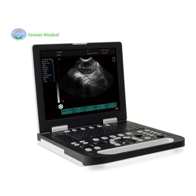 Sistema di imaging a ultrasuoni veterinario da 15 pollici Animali notebook gravidanza ultrasuoni Scanner