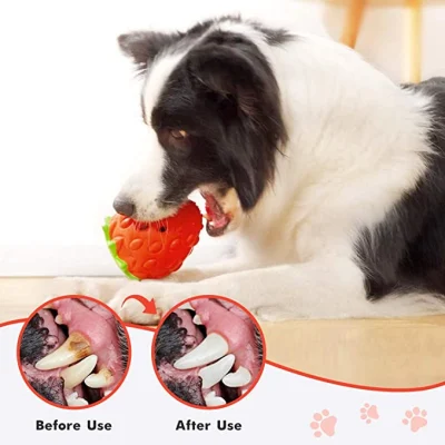 Strawberry cane Chew Giocattoli in gomma per noiosi cuccioli puppy