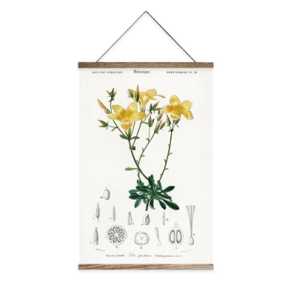 Pittura Botanica Banner Banner in tela di canvas Scorrere