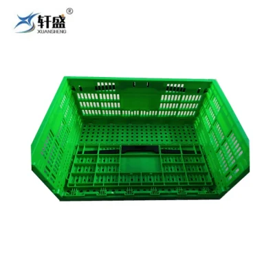 Materiale in PP colorato stoccaggio quadrato pieghevole di frutta e verdura impilamento Cestello con fori