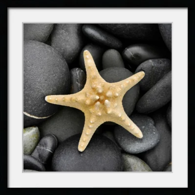 Studio forma Home decorazione incorniciata Arte Stampa