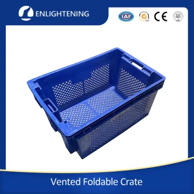 600X400X250mm trasporto personalizzato Noodles piatti in plastica cesto di frutta impilabile annidato Contenitore di frutta maglia di stoccaggio di verdure piatti Noodles
