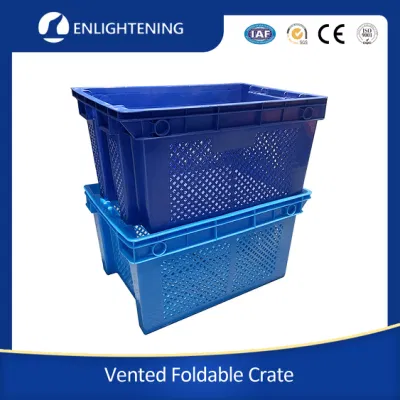 600X400X250mm trasporto personalizzato Noodles piatti in plastica cesto di frutta impilabile annidato Contenitore di frutta maglia di stoccaggio di verdure piatti Noodles