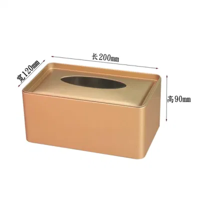 Scatola per tessuti rettangolare con fibbia inferiore quadrata in metallo Supporto per tovaglioli