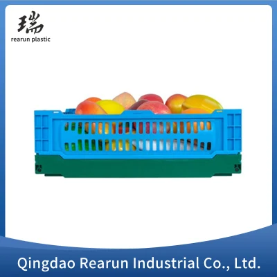 Grande cestello pieghevole telaio di stoccaggio cavo in plastica per uso domestico giornaliero USA cestino di frutta da tavolo