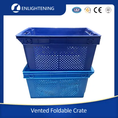600X400X250mm trasporto personalizzato Noodles piatti in plastica cesto di frutta impilabile annidato Contenitore di frutta maglia di stoccaggio di verdure piatti Noodles