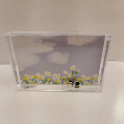 Cornice rettangolare con inserto fotografico 4r x 6 pollici