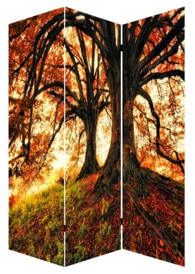 Divisorio in legno, Tall, pannello pieghevole molto ampio, camera decorativa Divisorio e Ristorante schermi di privacy pieghevoli