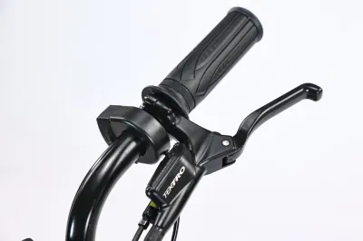 Telaio in acciaio al carbonio per bici elettriche da neve con batteria rimovibile