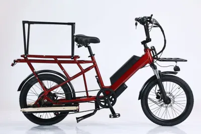 Telaio in acciaio al carbonio per bici elettriche da neve con batteria rimovibile