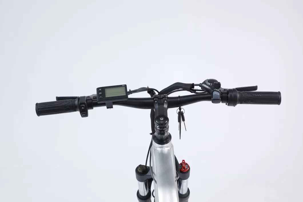 Removable Battery Mountain Snow Electric Bike Carbon Steel Frame