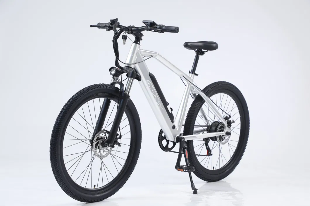 Removable Battery Mountain Snow Electric Bike Carbon Steel Frame