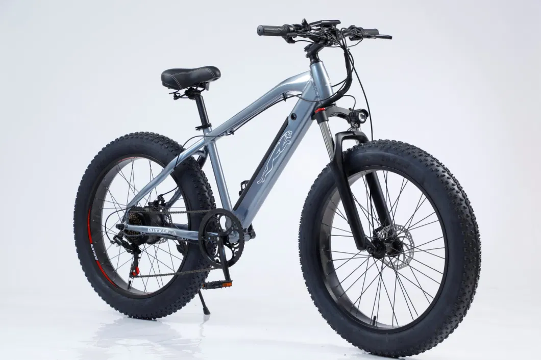 Removable Battery Mountain Snow Electric Bike Carbon Steel Frame