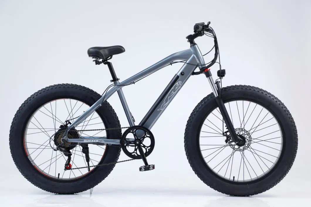 Removable Battery Mountain Snow Electric Bike Carbon Steel Frame