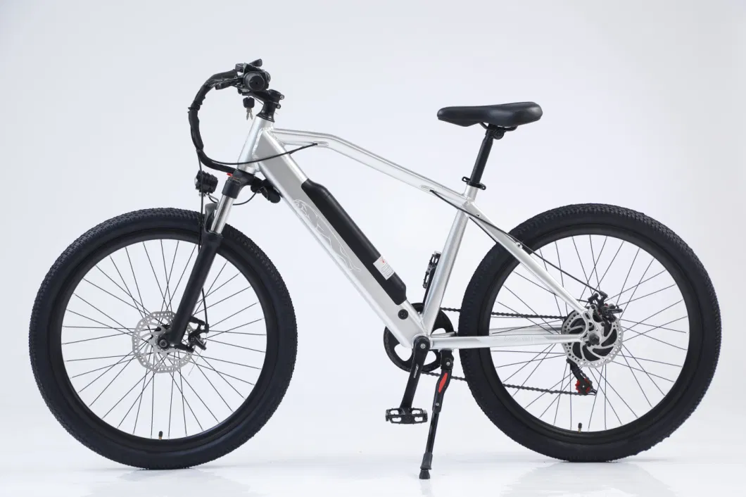 Removable Battery Mountain Snow Electric Bike Carbon Steel Frame