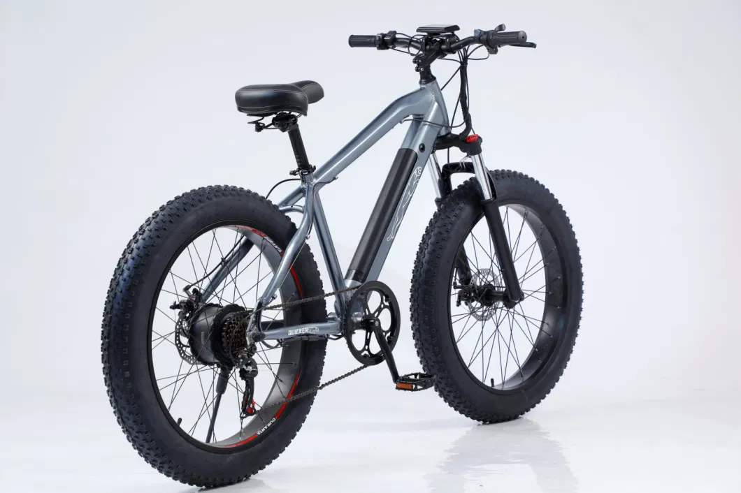 Removable Battery Mountain Snow Electric Bike Carbon Steel Frame