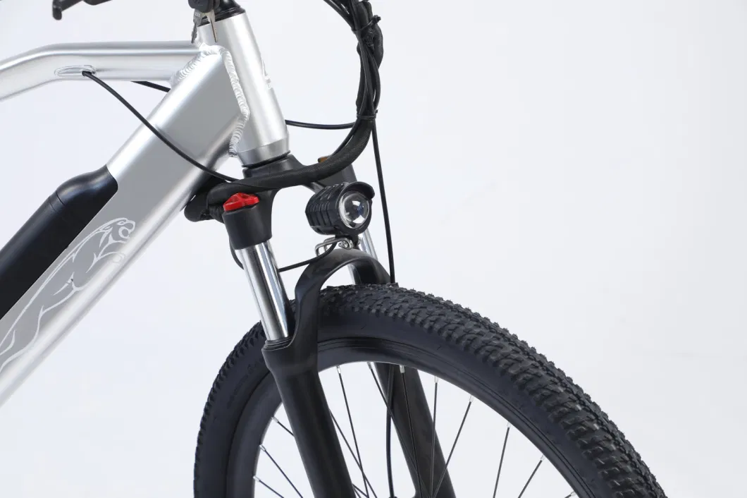 Removable Battery Mountain Snow Electric Bike Carbon Steel Frame