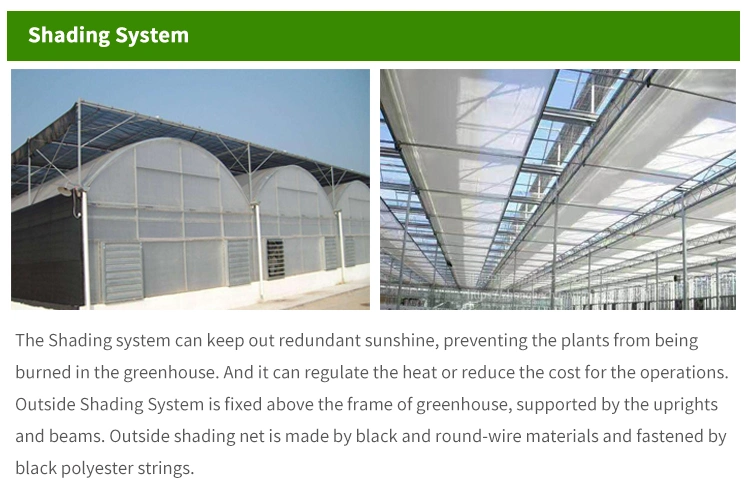 Multi-Span Tunnel Plastic Film Hydroponics Growing Tomatoes Greenhouse Frame