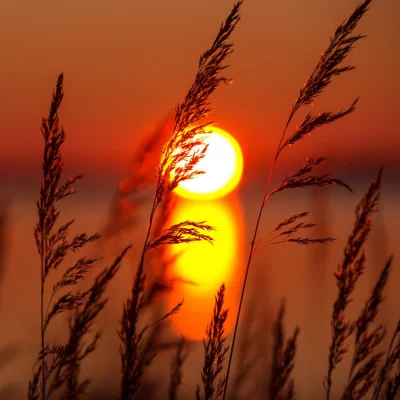 Fashion Style Sunset Theme Canvas Wall Arts for Decor