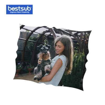  Customized Decoration Paper Puzzle Photo Frame (PFPT43)