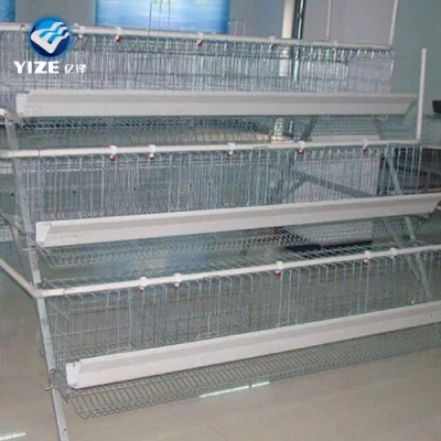  Layer Chicken Cage Tier Frame Mesh Wire Galvanized Steel Customizable Large Frame