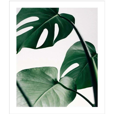 Hot Selling Custom Design Wall Art Canvas Prints