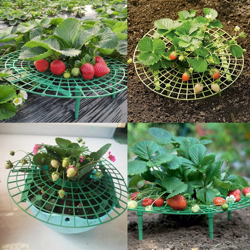 Garden Plastic Melon Strawberry Plants Fruit Tray Grids Support Holder