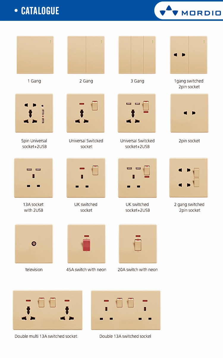 Trendy IEC Saudi Sqm Multi Function 13A Switch Socket with 2 USB