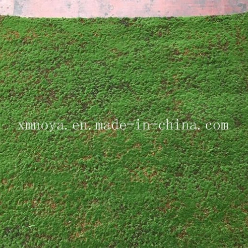 Cheap Artificial Synthetic Plastic Green Moss Grass Wall for Decoration