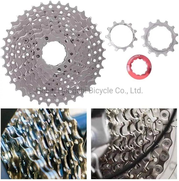 Manufacturer Supply Bicycle Freewheel Customize 12-36t Freewheel